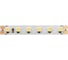 Светодиодная лента DesignLed LUX 9,6 Вт/м, SMD3528, Открытая, (IP33), 6000К, 24В DSG3120-24-W-33 1