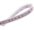 Светодиодная лента DesignLed DSG 3528 120L-V12-IP65, 4000K, 120 LED, 9.6 W/m, LUX DSG3120-12-NW-65 3