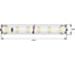 Светодиодная лента DesignLed DSG 3528 120L-V24-IP65, 4000K, 120 LED, 9.6 W/m, LUX DSG3120-24-NW-65 2