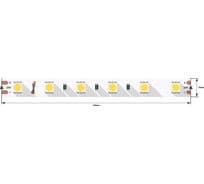 Светодиодная лента DesignLed DSG 5050 W 60L-V24-IP33, 6000 K, 300 LED, 14.4W/m, LUX DSG560-24-W-33