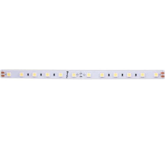 Светодиодная лента DesignLed DSG 5050 W 60L-V24-IP33, 6000 K, 300 LED, 14.4W/m, LUX DSG560-24-W-33