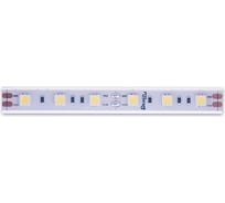 Светодиодная лента DesignLed DSG 5050 W 60L-12V-IP65, 6000 K, 300 LED, 14.4W/m, LUX DSG560-12-W-65