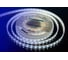Светодиодная лента DesignLed DSG 5050 W 60L-12V-IP65, 6000 K, 300 LED, 14.4W/m, LUX DSG560-12-W-65 3
