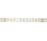 Светодиодная лента DesignLed DSG 5050 NW 60L-V24-IP65, 4000 K, 300 LED, 14.4W/m, LUX DSG560-24-NW-65 4