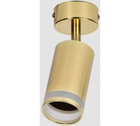 Настено-потолочный накладной светильник IEK Lighting 4006 под лампу gu10 золото LT-USB0-4006-GU10-1-K22