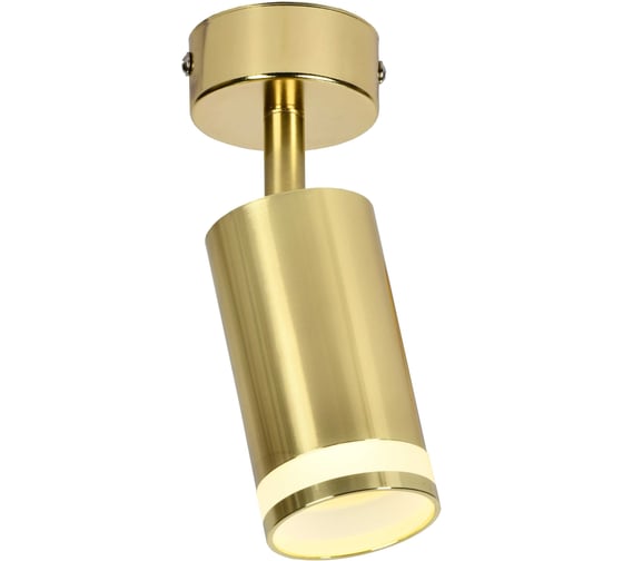 Настено-потолочный накладной светильник IEK Lighting 4006 под лампу gu10 золото LT-USB0-4006-GU10-1-K22