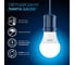 Лампа Gauss A60 12W 1200lm 6500K E27 LED 102502312 4