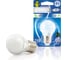 Светодиодная лампа ECOWATT P45 230В аналог 60W 4000K E27 холодный белый свет шарик 4606400419280 1