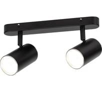 Настенно-потолочный светильник ЭРА спот OL352 BK MR16, GU10, IP20,черный хром Б0056364