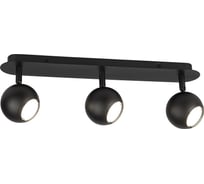 Настенно-потолочный светильник ЭРА спот OL363 BK MR16, GU10, IP20, черный Б0056372