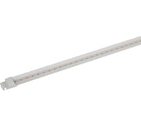 Светильник для растений ЭРА светодиодная линейная фитолампа FITO10WТ5RBSlim красно-синего спектра 10Вт Б0057401