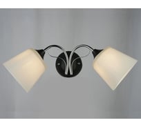 Настенный светильник Мелодия Света P6884-2W BK+CR 000027709