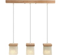 Подвесной светильник Мелодия Света 6424-3P NL 000039500