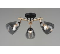 Потолочная люстра Мелодия Света SL4676-3 BK+Wood 000060407