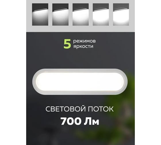 Настольный светодиодный светильник FORCEKRAFT 220В FK-DEA5065-2