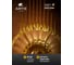 Настенный светильник ARTE LAMP almaaz A2564AP-1PB 6