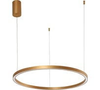 Подвесная люстра ARTE LAMP smooth A2223SP-1PB