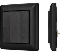 Панель INTELLIGENT ARLIGHT DALI-223-1G-2S-IN-BLACK 1шт 031100