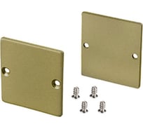 Глухая заглушка Arlight SL-LINE-3638-LW GOLD комплект 039983