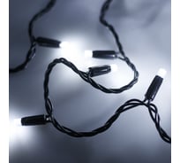 Светодиодная гирлянда Ardecoled ARD-STRING-PRO-10000-BLACK-100LED-FLASH WHITE 025827