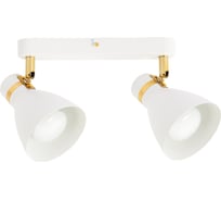 Спот ARTE LAMP fafnir A5047PL-2WH