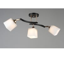 Потолочная люстра Мелодия Света SL2904-3 CF+GD 000060402