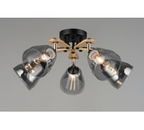 Потолочная люстра Мелодия Света SL4676-5 BK+Wood 000060408
