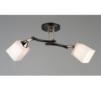 Потолочная люстра Мелодия Света SL2904-2 CF+GD 000060401