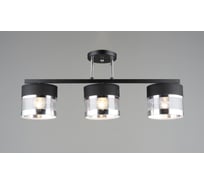 Потолочная люстра Мелодия Света SL7996-3 BK+CR 000060450