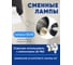 Настенный светильник FERON ML1850 BELL 35W, 230V, GU10, черный 48418 5