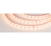 Светодиодная герметичная лента Arlight RTW-PS-A60-10mm 24V Warm2700 50м 024566(2)