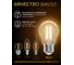 Светодиодная лампа Gauss LED Filament A60 E27 8W 2700К 1/10/40 SQ 102802108 3