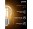 Светодиодная лампа Gauss LED Filament A60 E27 8W 2700К 1/10/40 SQ 102802108 5