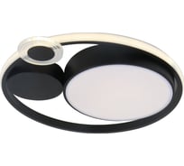 Потолочный светильник ARTE LAMP stockholm A2690PL-1BK