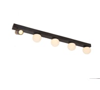 Потолочный светильник ARTE LAMP zosma A2608PL-5BK