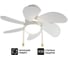 Люстра вентилятор DREAMFAN smart white 76 50075DFN 6