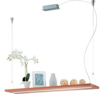 Подвесной светильник EGLO Промо monroy 39328