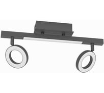 Настольная лампа декоративная EGLO TWICKEN 43841