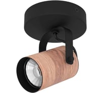 Спот Eglo CAYUCA 900436