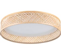 Потолочный светильник EGLO ПРОМО LUPPINERIA 900464