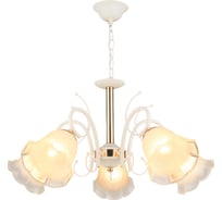 Подвесная люстра ВИНКРУС WT-FGD, E27x5x60W A3442/5