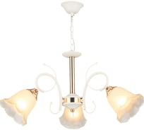 Подвесная люстра ВИНКРУС WT-FGD, E27x3x60W A3442/3