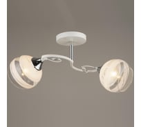 Потолочная люстра ВИНКРУС WT-CR, E27x2x60W C1421/2