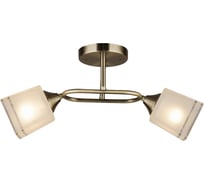Потолочная люстра ВИНКРУС AB E27x2x60W A3419/2