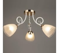 Потолочная люстра ВИНКРУС WT-FGD, E27x3x60W A3448/3