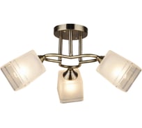 Потолочная люстра ВИНКРУС AB E27x3x60W A3419/3