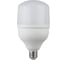 Лампа светодиодная ЭРА LED STD POWER 20W-6500-E27 40/800 Б0027011 1