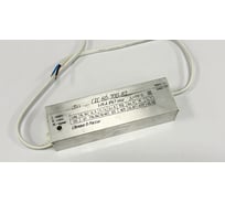 Светодиодный драйвер "ЮПЗ "ПРОМСВЯЗЬ" СТС 60-700-87-1-М-А IP67 011.02