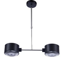 Потолочная люстра ВИНКРУС Matt BK-CH, E14x2x60W MD3473/2A