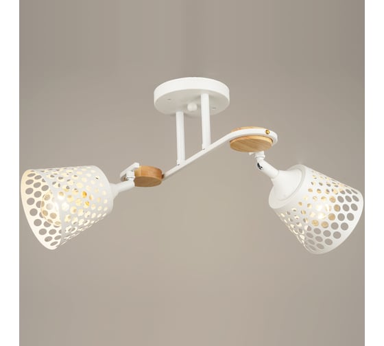 Потолочная люстра ВИНКРУС WT, E27x2x60W N4218/2 1